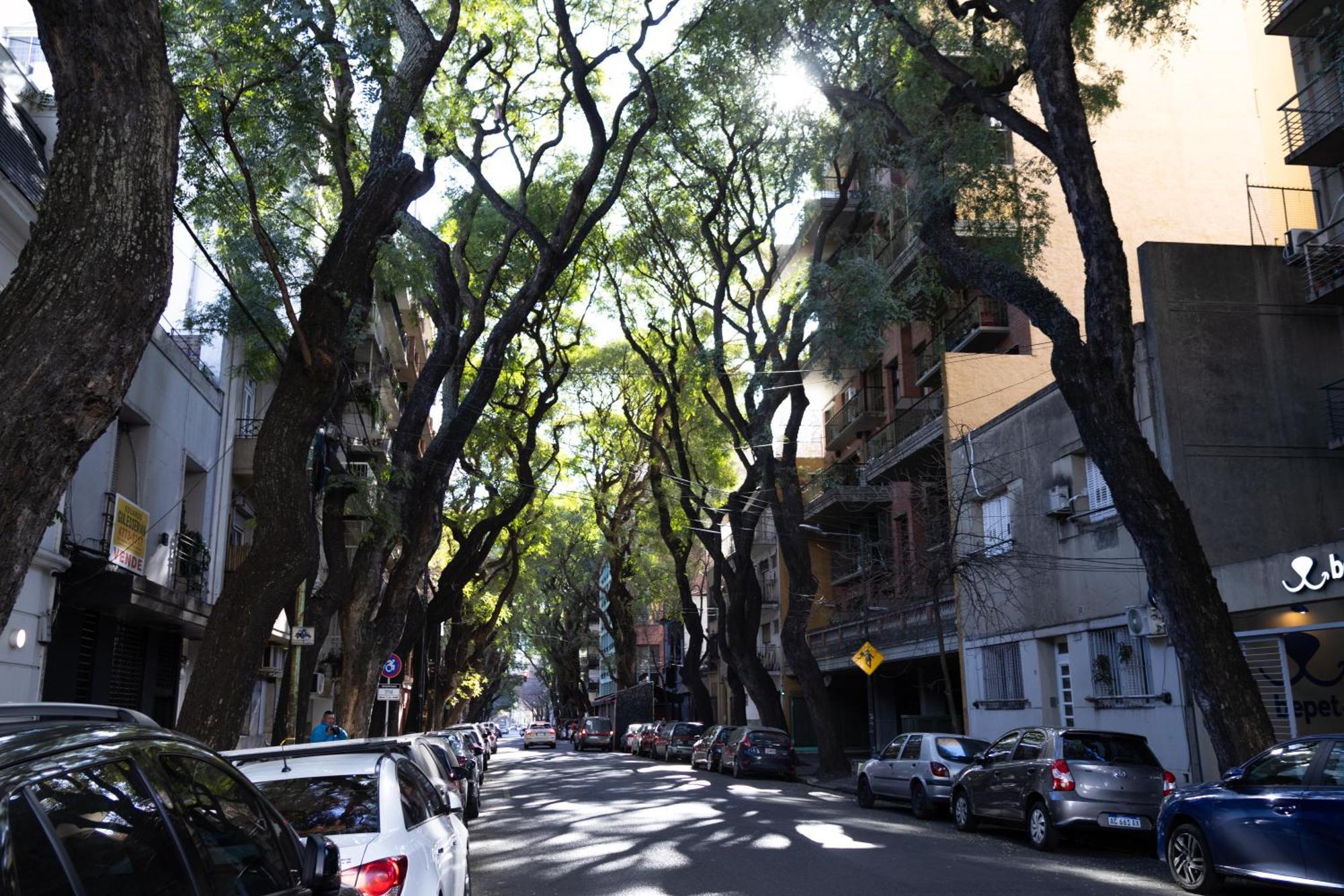 דירות בואנוס איירס Palermo Soho G4827 - Departamentos Modernos, Amplios Y Luminosos מראה חיצוני תמונה