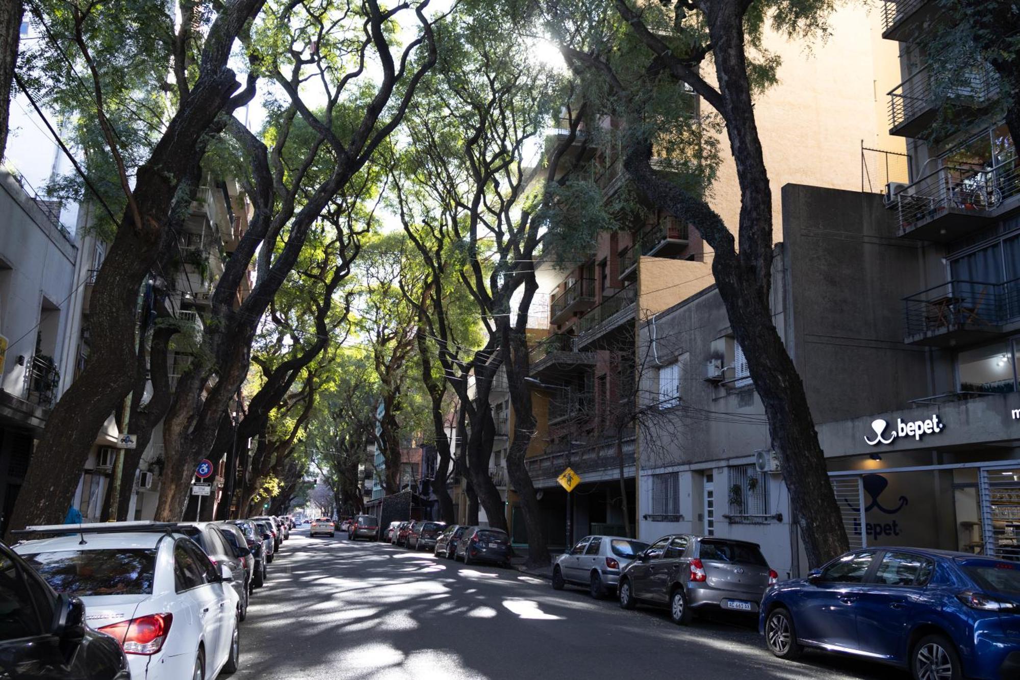 דירות בואנוס איירס Palermo Soho G4827 - Departamentos Modernos, Amplios Y Luminosos מראה חיצוני תמונה