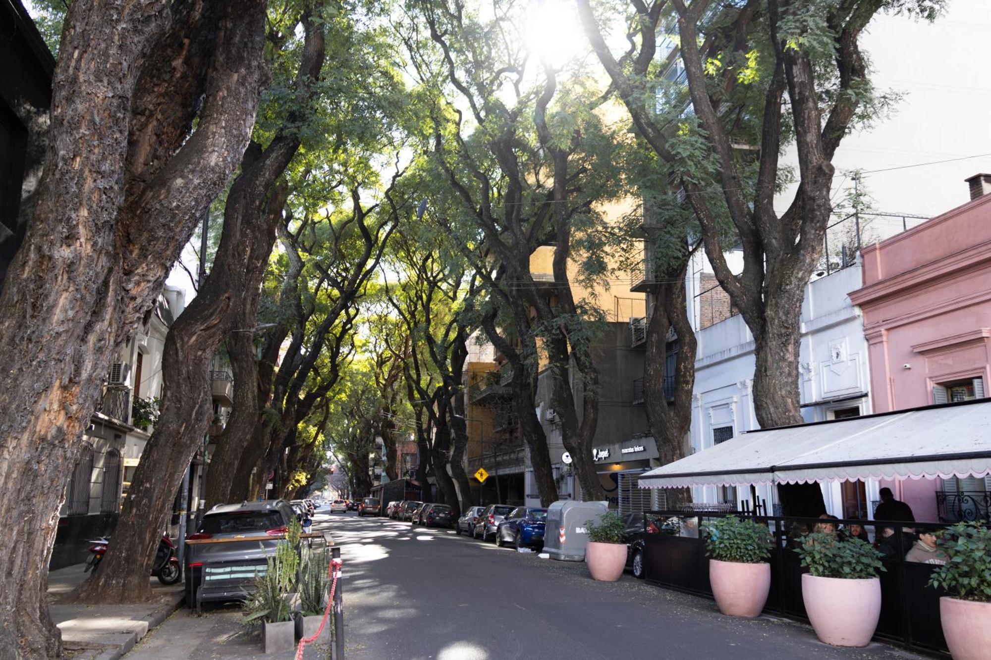 דירות בואנוס איירס Palermo Soho G4827 - Departamentos Modernos, Amplios Y Luminosos מראה חיצוני תמונה